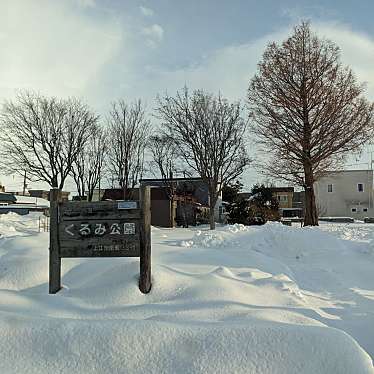 実際訪問したユーザーが直接撮影して投稿した上江別南町公園くるみ公園の写真