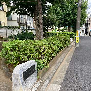 実際訪問したユーザーが直接撮影して投稿した成田東公園東二公園の写真