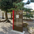 実際訪問したユーザーが直接撮影して投稿した郭町地域名所おあむの松の写真