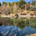 実際訪問したユーザーが直接撮影して投稿した目白庭園目白庭園の写真