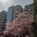 実際訪問したユーザーが直接撮影して投稿した上野公園公園上野恩賜公園の写真