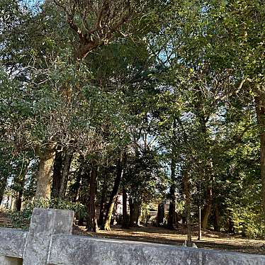 実際訪問したユーザーが直接撮影して投稿した高松神社高松八幡神社の写真