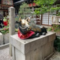 実際訪問したユーザーが直接撮影して投稿した中之町(新京極通)神社錦天満宮の写真