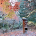 実際訪問したユーザーが直接撮影して投稿した平木寺播州清水寺の写真