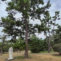 実際訪問したユーザーが直接撮影して投稿した浜寺公園町公園浜寺公園の写真