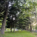 実際訪問したユーザーが直接撮影して投稿した真駒内緑町公園真駒内五輪記念公園の写真