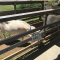 実際訪問したユーザーが直接撮影して投稿した保田道の駅道の駅 保田小学校の写真