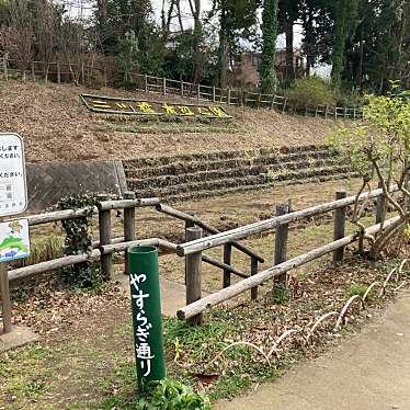 実際訪問したユーザーが直接撮影して投稿した宮沢公園二ッ橋の水辺の写真