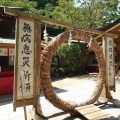 実際訪問したユーザーが直接撮影して投稿した江の島神社江島神社の写真