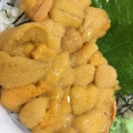 ウニ丼 - 実際訪問したユーザーが直接撮影して投稿した尾浜魚介 / 海鮮料理斎春商店の写真のメニュー情報