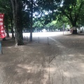 実際訪問したユーザーが直接撮影して投稿した橋本神社神明大神宮の写真