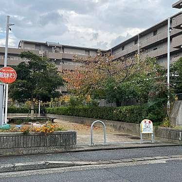 実際訪問したユーザーが直接撮影して投稿した諏訪開町公園諏訪開公園の写真