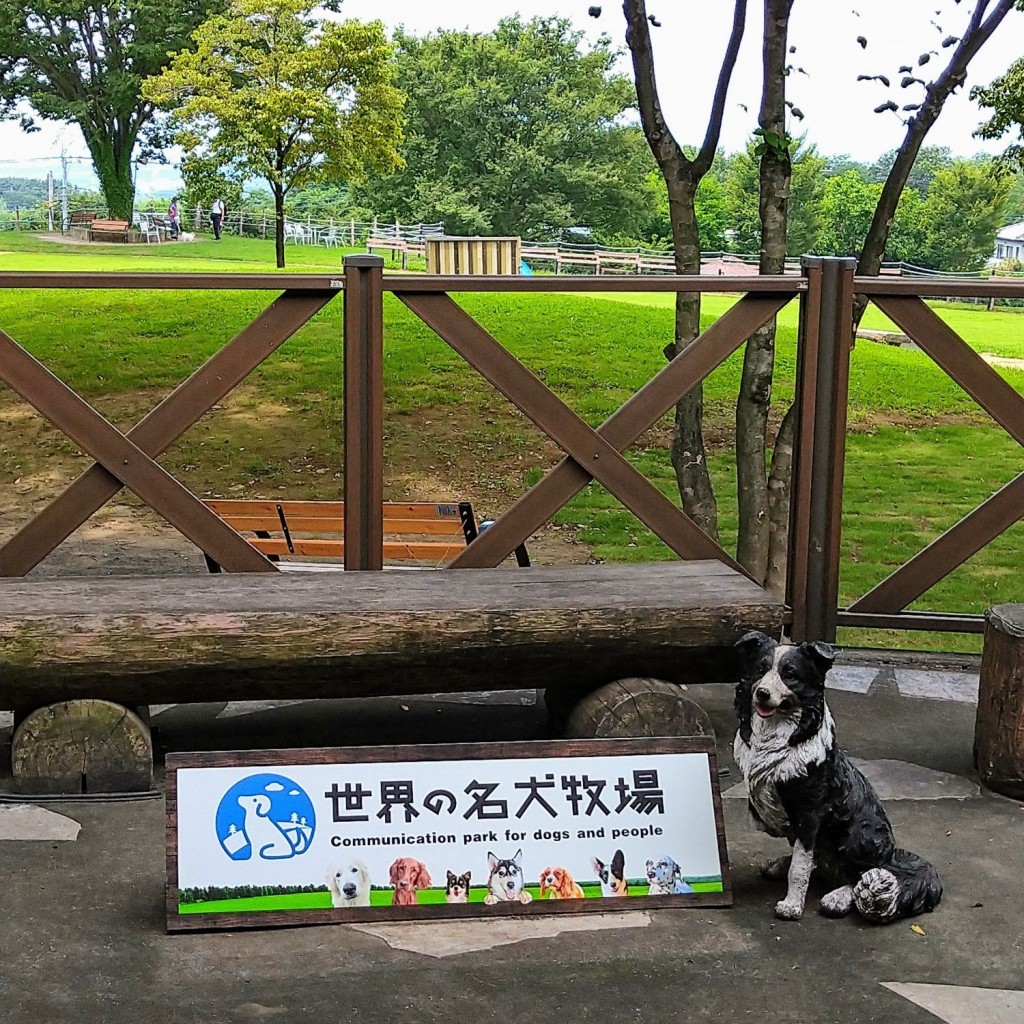 実際訪問したユーザーが直接撮影して投稿した富士見町石井ペット関連サービス世界の名犬牧場の写真