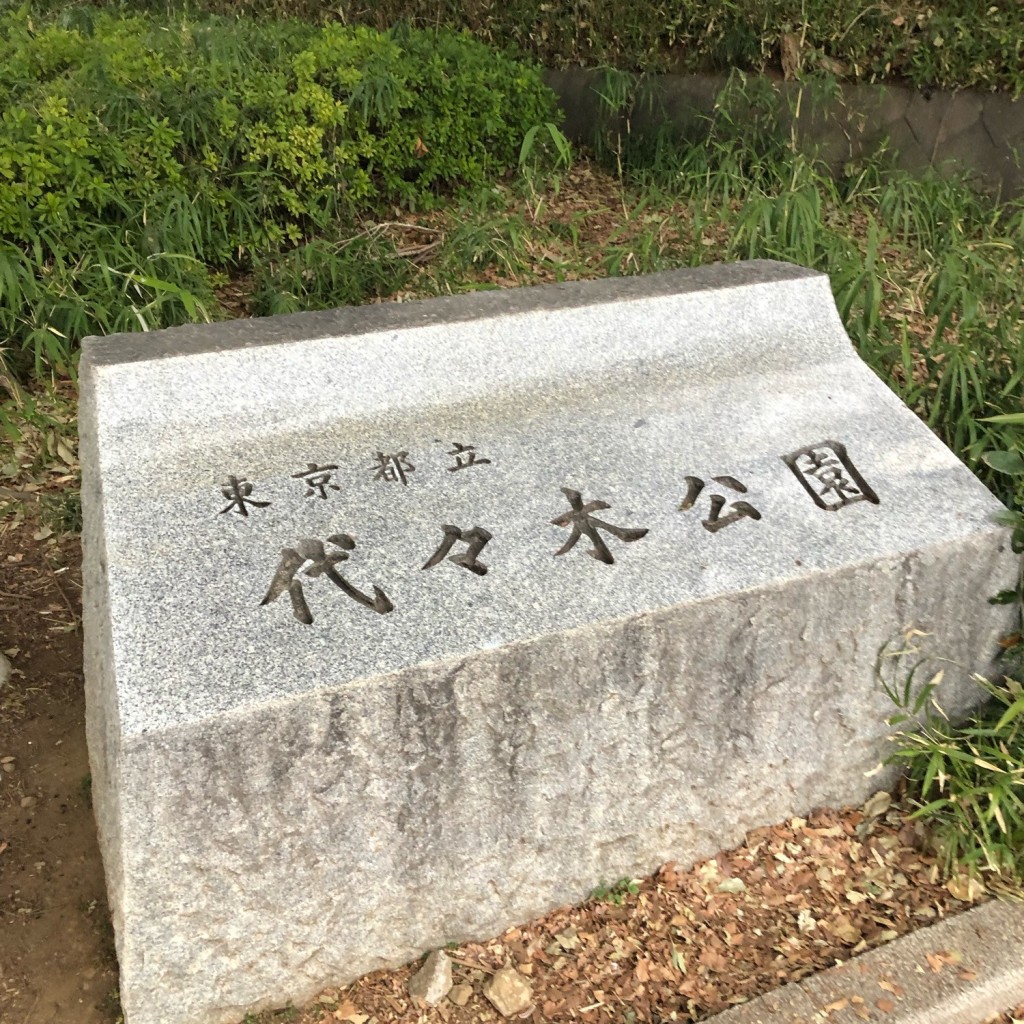 アババさんが投稿した代々木神園町公園のお店代々木公園/ヨヨギコウエンの写真