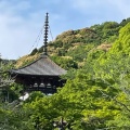 実際訪問したユーザーが直接撮影して投稿した根来寺根來寺の写真