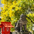 実際訪問したユーザーが直接撮影して投稿した蔵前神社蔵前神社の写真