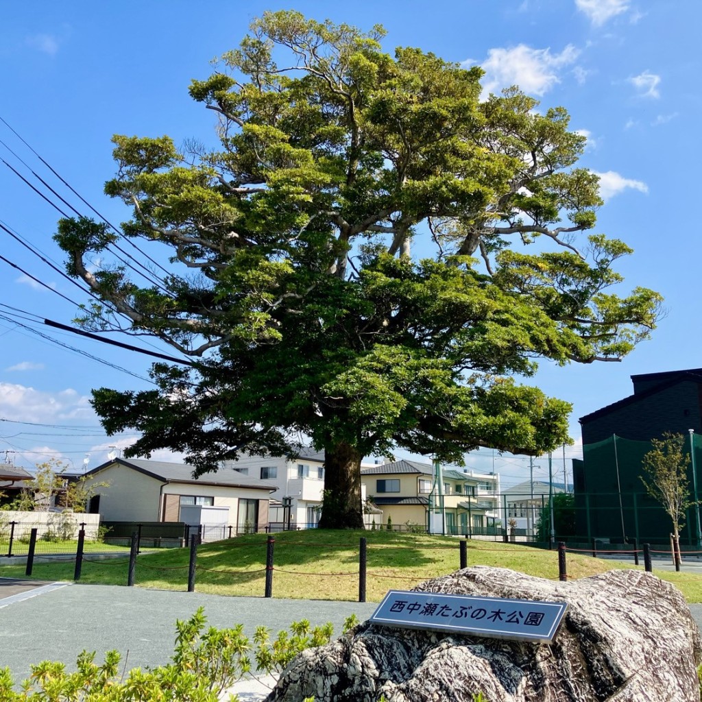 実際訪問したユーザーが直接撮影して投稿した西中瀬公園西中瀬たぶのき公園の写真