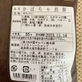 実際訪問したユーザーが直接撮影して投稿した本町せんべい / えびせん田中屋せんべい総本家 本店の写真