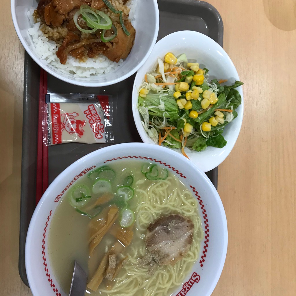 ユーザーが投稿したラーメン 豚丼サラダセットの写真 - 実際訪問したユーザーが直接撮影して投稿した前山町ラーメン専門店スガキヤ メグリア エムパーク店の写真