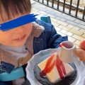 実際訪問したユーザーが直接撮影して投稿した宇奈月温泉ケーキALPEN CHEESECAKEの写真