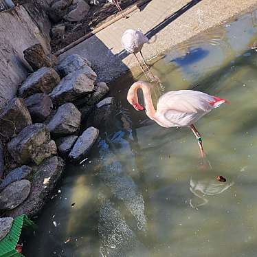 飯田市立動物園のundefinedに実際訪問訪問したユーザーunknownさんが新しく投稿した新着口コミの写真