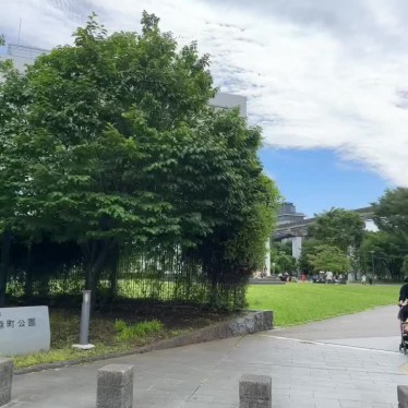 実際訪問したユーザーが直接撮影して投稿した緑町公園緑町公園の写真