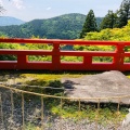 実際訪問したユーザーが直接撮影して投稿した鞍馬本町寺総本山 鞍馬寺の写真