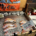実際訪問したユーザーが直接撮影して投稿した美浜魚介 / 海鮮料理海鮮茶屋 サバニの写真