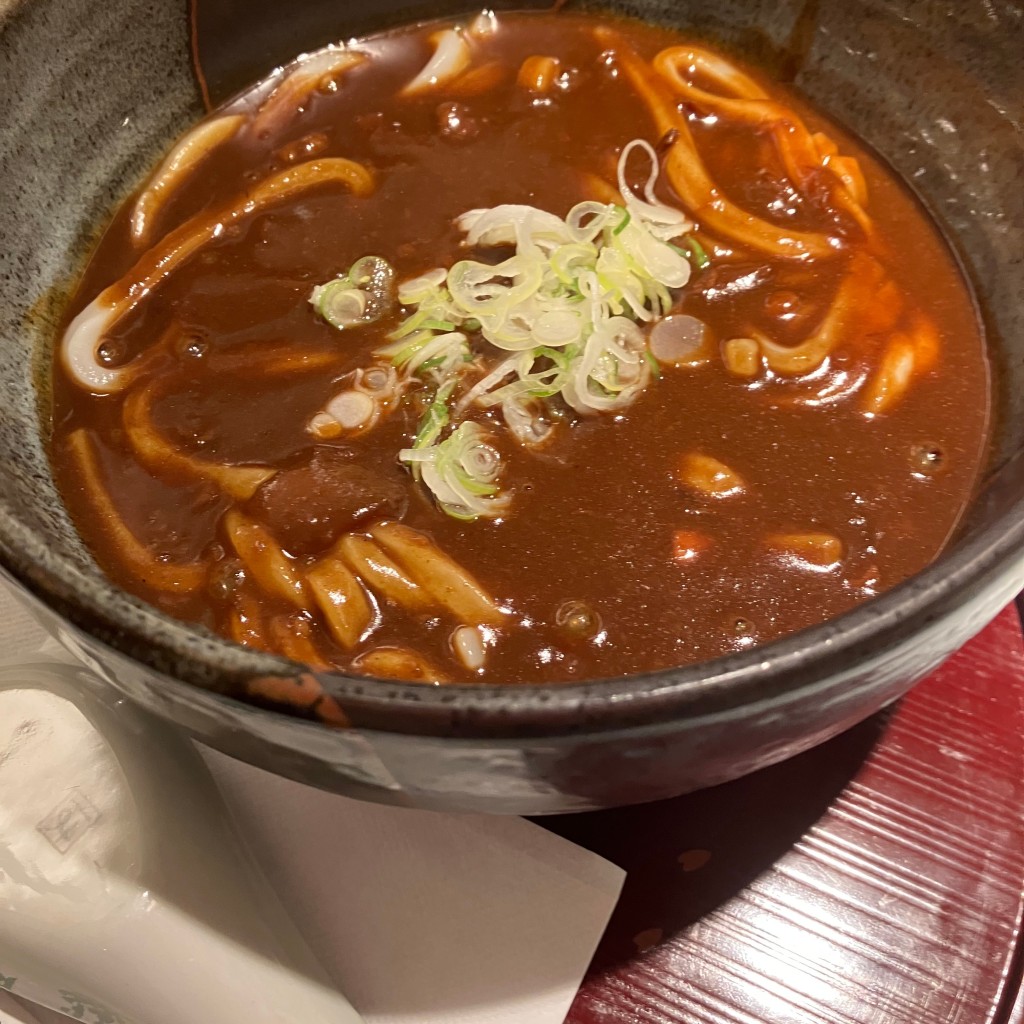 ユーザーが投稿したカレーうどんの写真 - 実際訪問したユーザーが直接撮影して投稿した幸明町洋食キッチンユキ 本店の写真