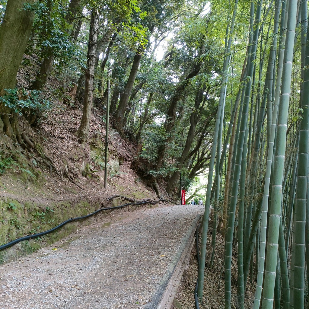 実際訪問したユーザーが直接撮影して投稿した白王町寺伊崎寺の写真