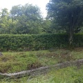 実際訪問したユーザーが直接撮影して投稿した戸塚町庭園大隈庭園の写真