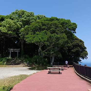 実際訪問したユーザーが直接撮影して投稿した大島山 / 峠御嶽山の写真