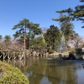 実際訪問したユーザーが直接撮影して投稿した千秋公園公園千秋公園の写真