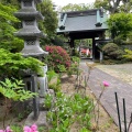 実際訪問したユーザーが直接撮影して投稿した師岡町寺法華寺の写真