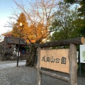 実際訪問したユーザーが直接撮影して投稿した成田公園成田山公園の写真