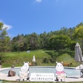 実際訪問したユーザーが直接撮影して投稿した芦田八ケ野遊園地 / テーマパーク白樺リゾート 池の平ファミリーランドの写真