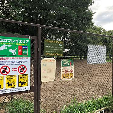 実際訪問したユーザーが直接撮影して投稿した関野町ドッグラン都立小金井公園ドッグランの写真