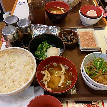 実際訪問したユーザーが直接撮影して投稿した水町牛丼すき家 3号宇土店の写真