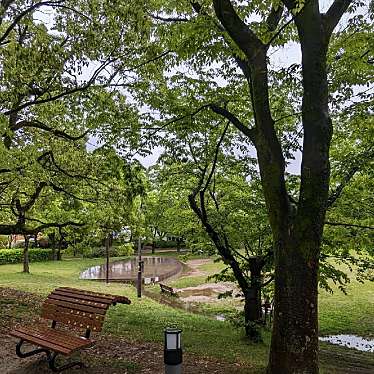 実際訪問したユーザーが直接撮影して投稿した太平町公園太平公園の写真