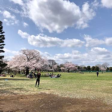 実際訪問したユーザーが直接撮影して投稿した八幡町公園武蔵野中央公園の写真