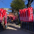 実際訪問したユーザーが直接撮影して投稿した駒込神社染井稲荷神社の写真