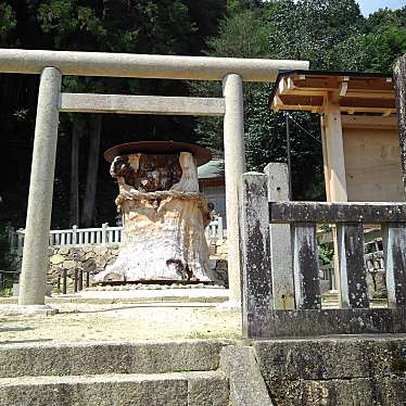 実際訪問したユーザーが直接撮影して投稿した大湫町神社大湫神明神社の写真