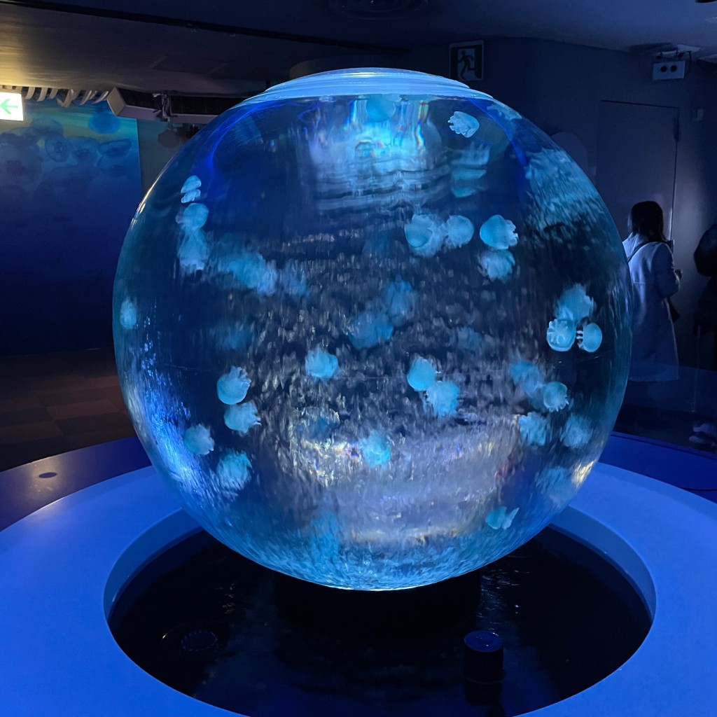 ももoOさんが投稿した片瀬海岸水族館 / アクアリウムのお店新江ノ島水族館/シンエノシマスイゾクカンの写真