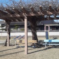 実際訪問したユーザーが直接撮影して投稿した入江公園入江児童遊園地の写真