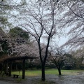 実際訪問したユーザーが直接撮影して投稿した早川城山公園城山公園(早川城址)の写真