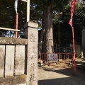 実際訪問したユーザーが直接撮影して投稿した東大泉神社北野神社の写真