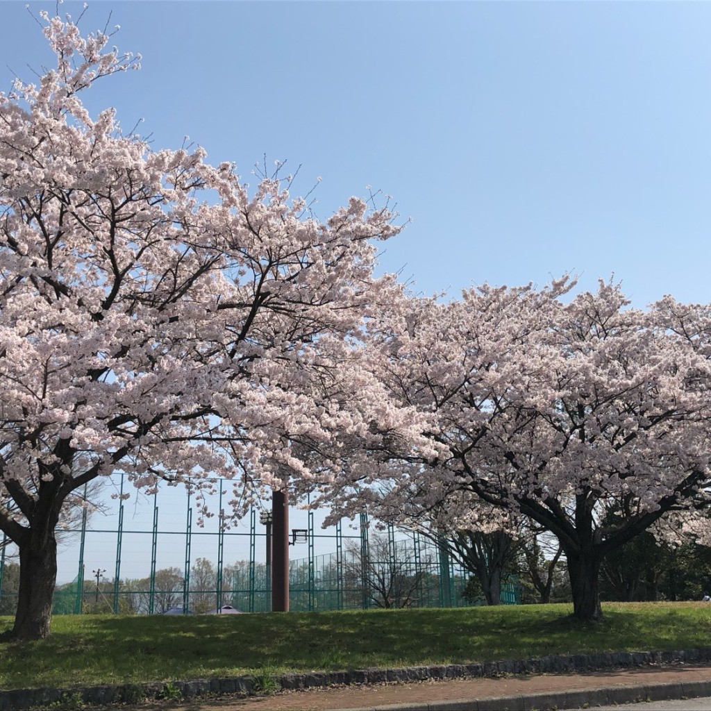 YUKさんが投稿した早崎町体育館 / スポーツ施設のお店長浜市びわ体育館(びわ体育センター)/ナガハマシビワタイイクカンビワタイイクセンターの写真