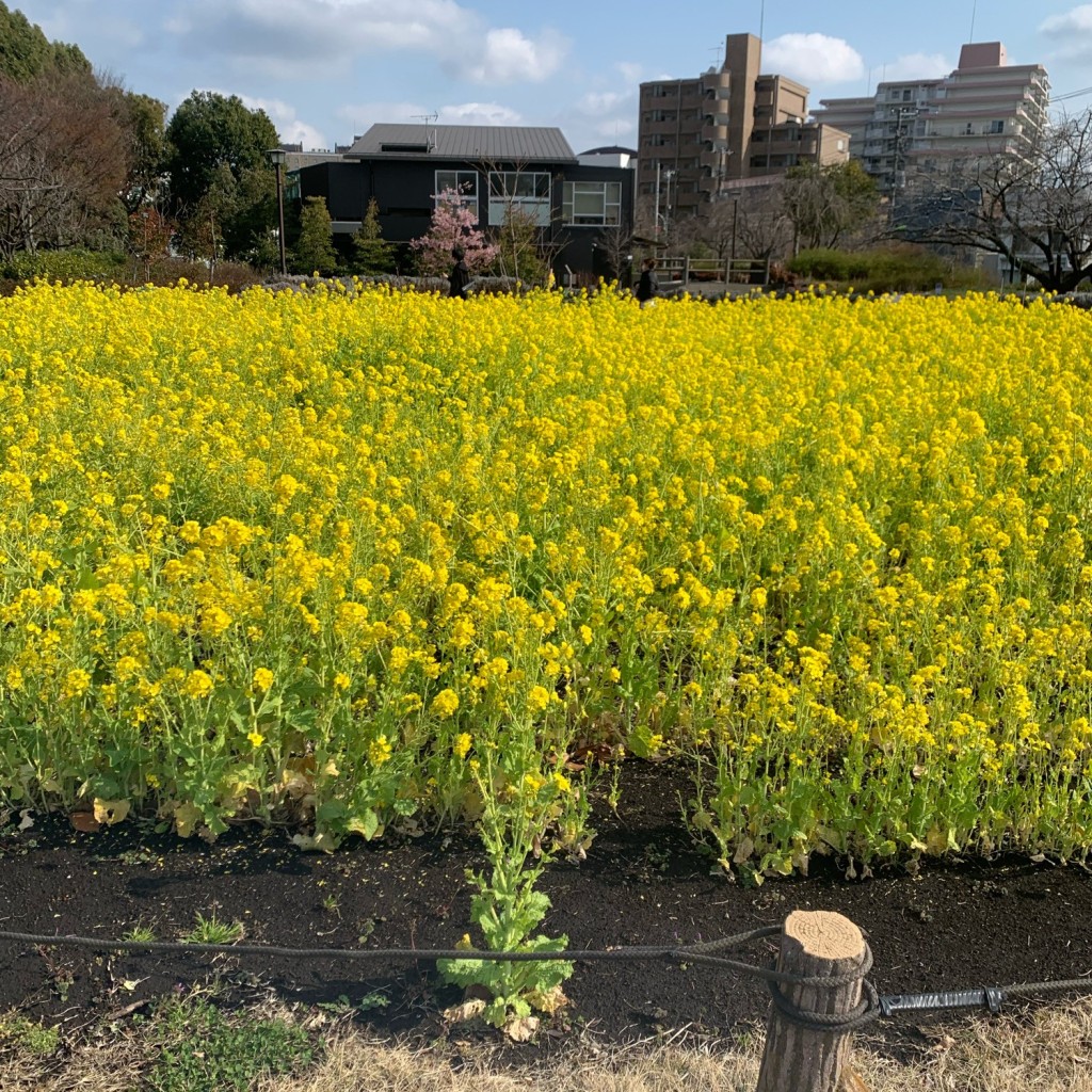 実際訪問したユーザーが直接撮影して投稿した船橋洋食神戸屋レストラン 芦花公園店の写真