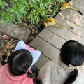 実際訪問したユーザーが直接撮影して投稿した犬山動物園日本モンキーセンターの写真