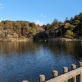 実際訪問したユーザーが直接撮影して投稿した湖沼 / 池与兵衛沼の写真